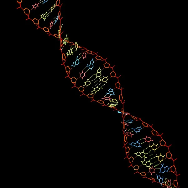ДНК. — стоковое фото