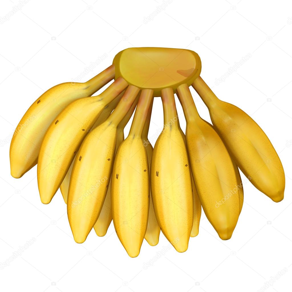 A banana is an edible fruit, botanically a berry, produced by several kinds of large herbaceous flowering plants in the genus Musa.