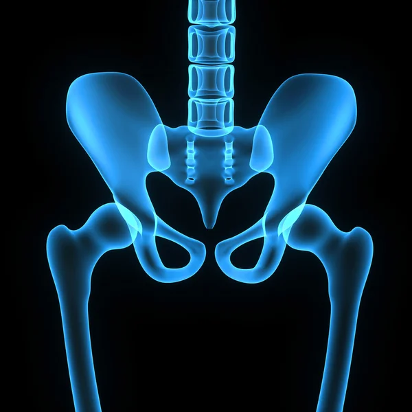 Articulação da anca — Fotografia de Stock