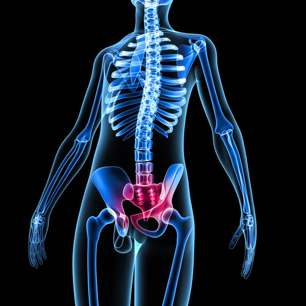 Sacrum — Stock Image Sacrum Royalty Free Stock Photos