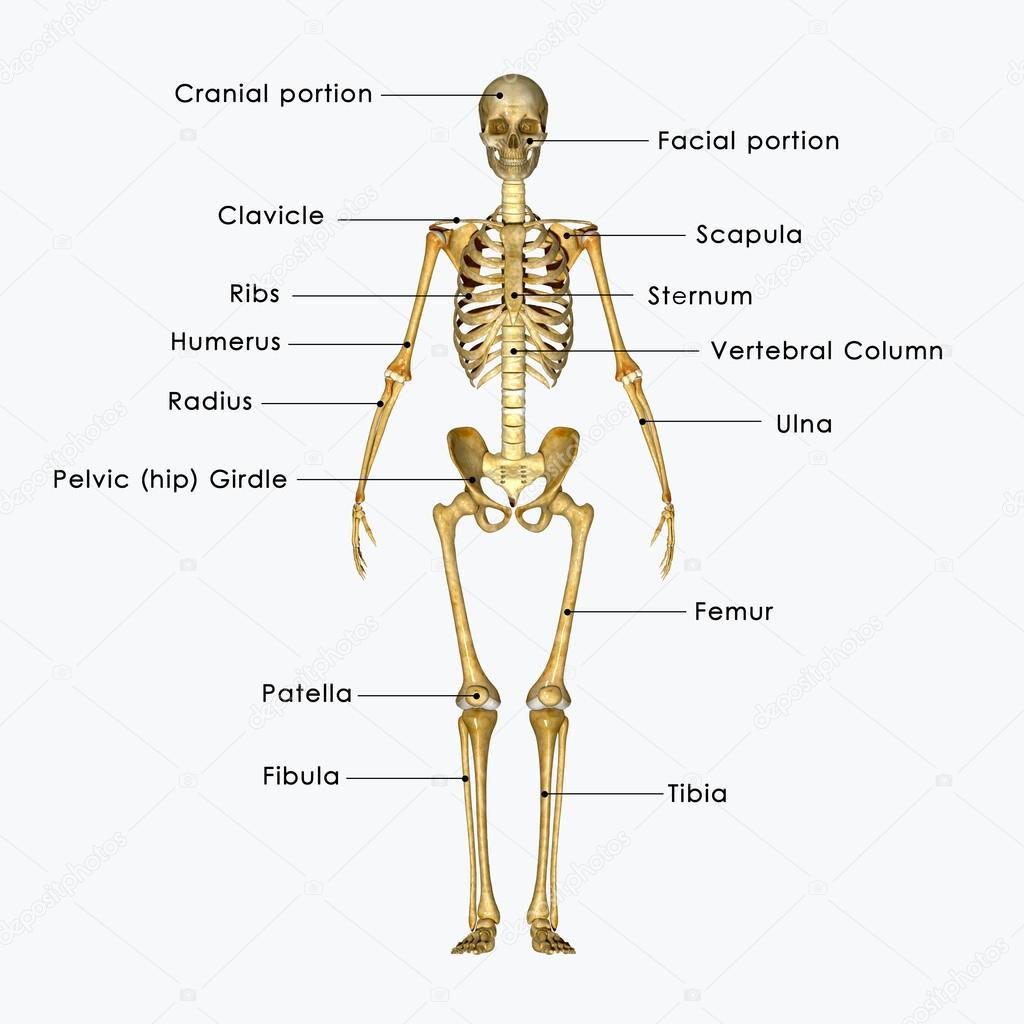 sciencepics