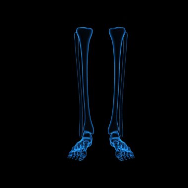 Skeleton Legs clipart