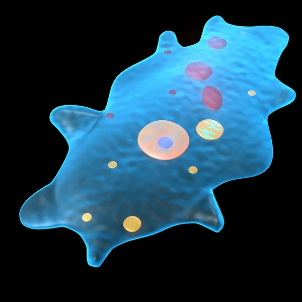 Amoeba — Stockfoto