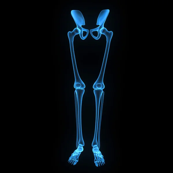 Skeleton benen — Stockfoto