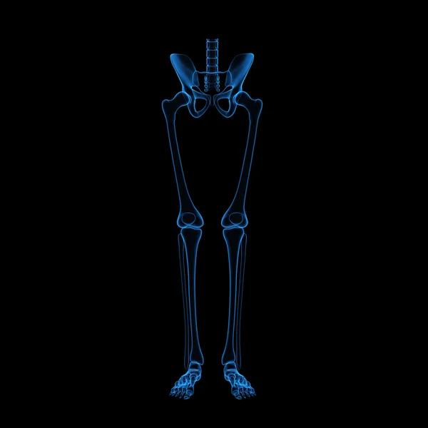 Gambe scheletriche — Foto Stock