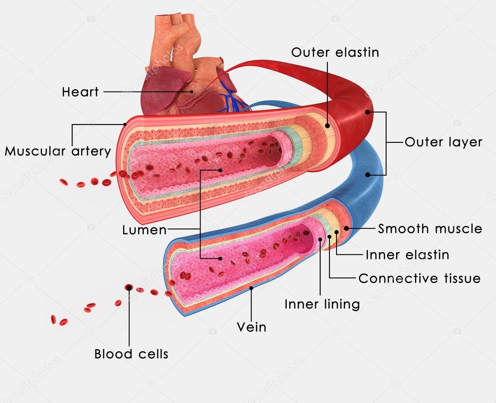 sciencepics