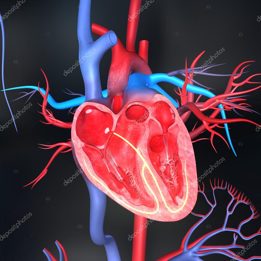 sciencepics