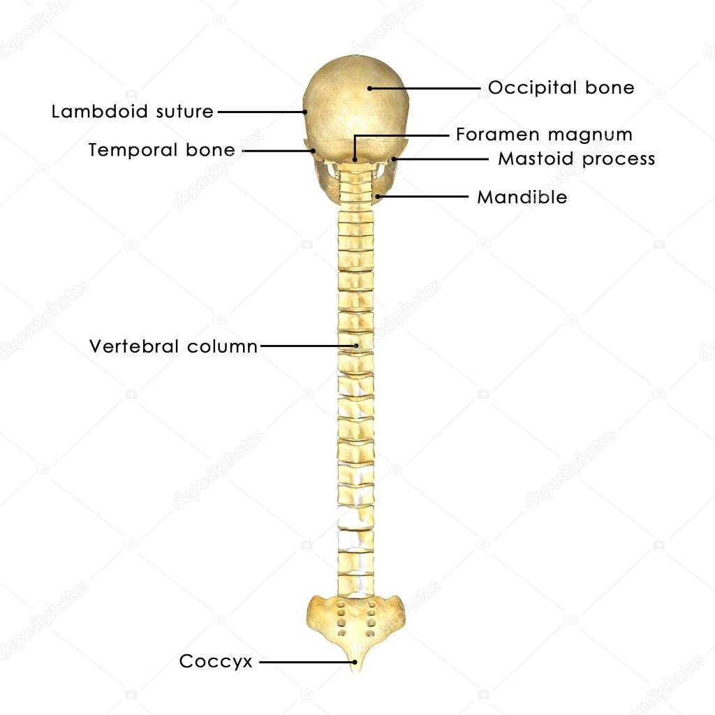 sciencepics