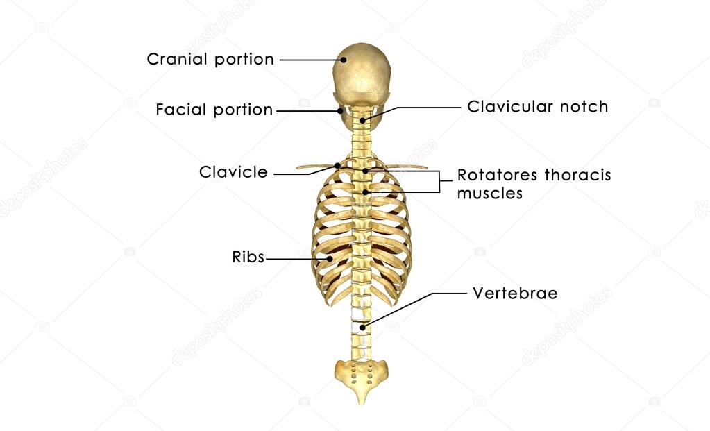 sciencepics