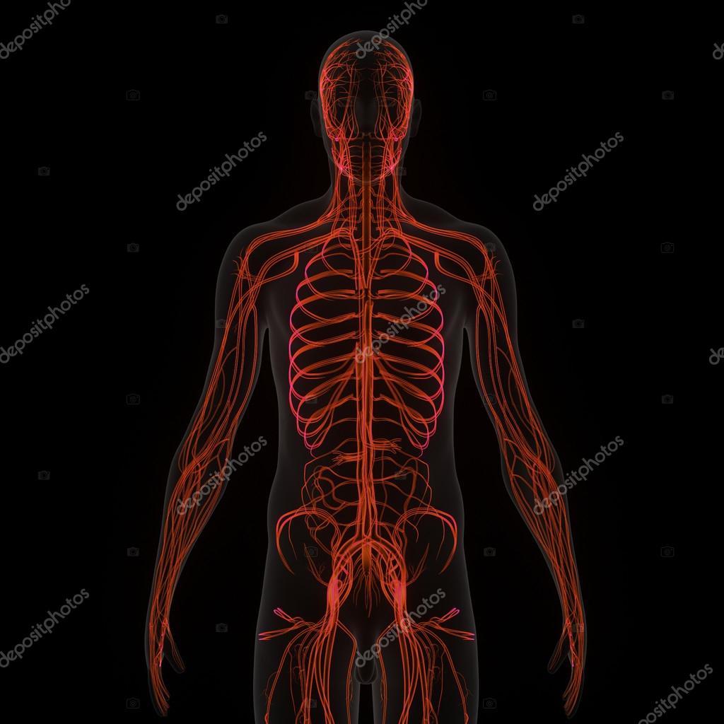 sciencepics