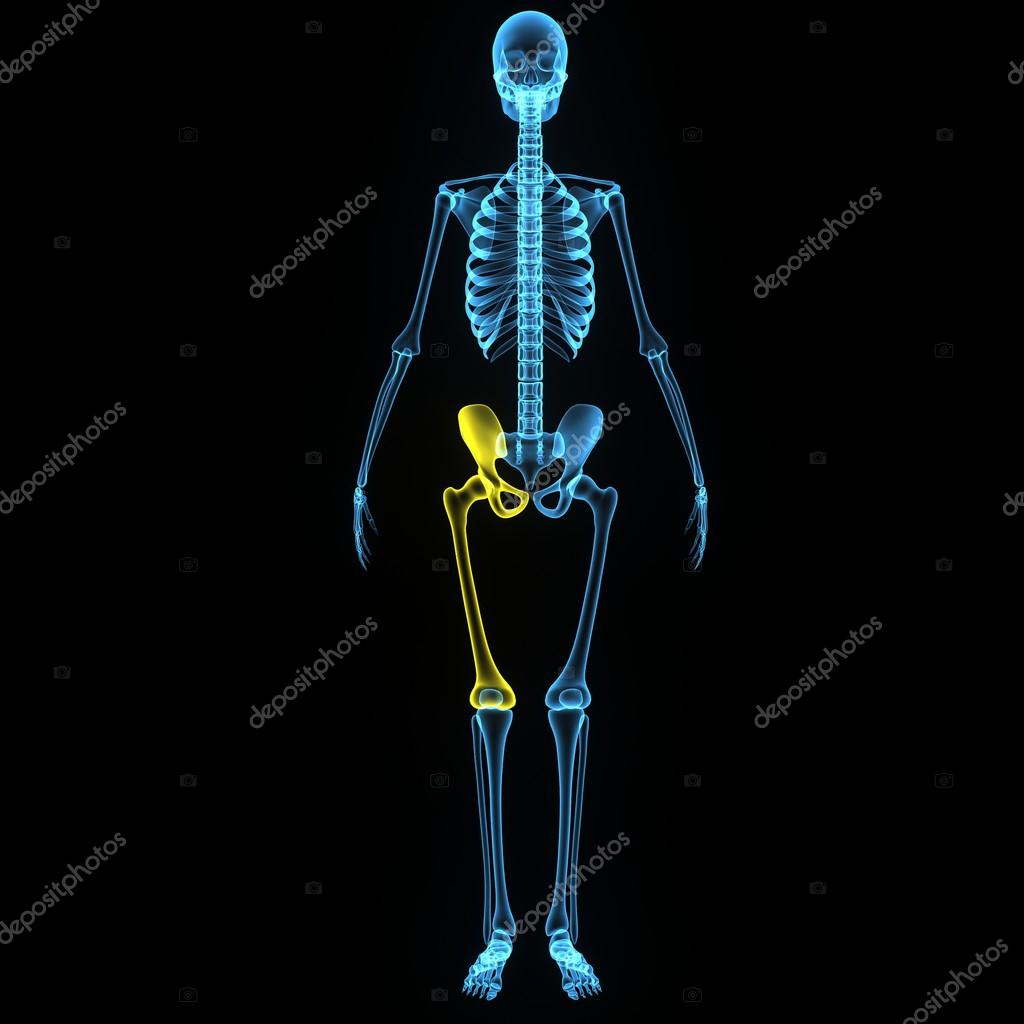 sciencepics