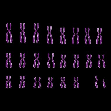 Human chromosome on black clipart