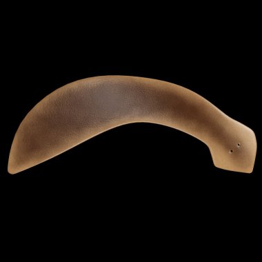 Dugesia planarian bölüm