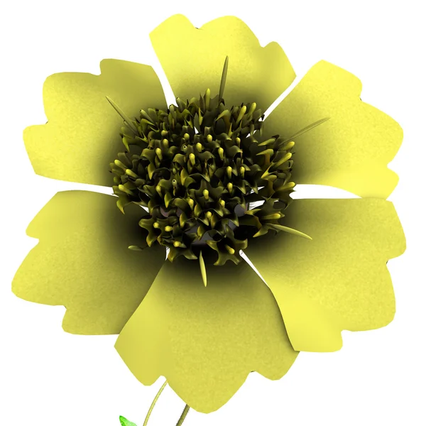 Żółty kwiat Tridax — Zdjęcie stockowe