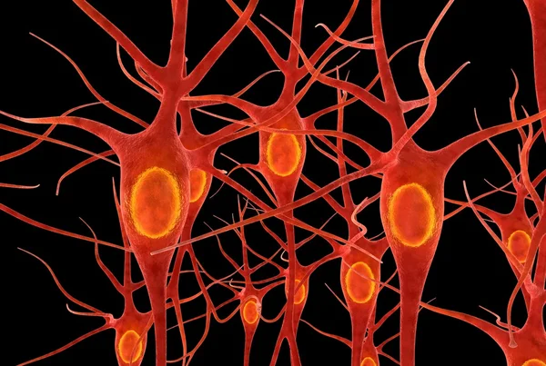 神经元 — 图库照片