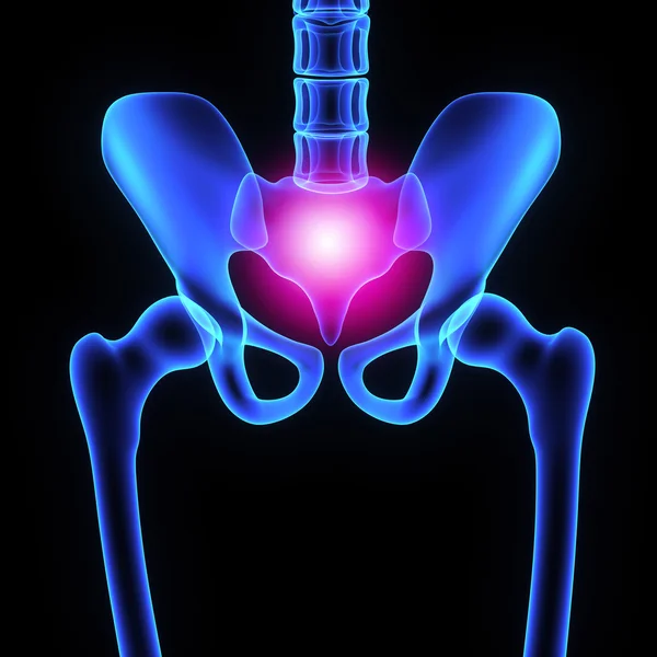 Hip joint — Stock Photo, Image