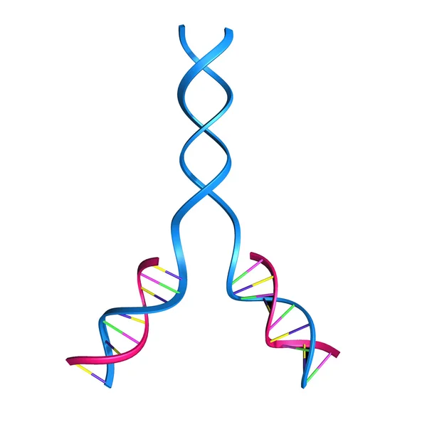 Dna. — Stockfoto