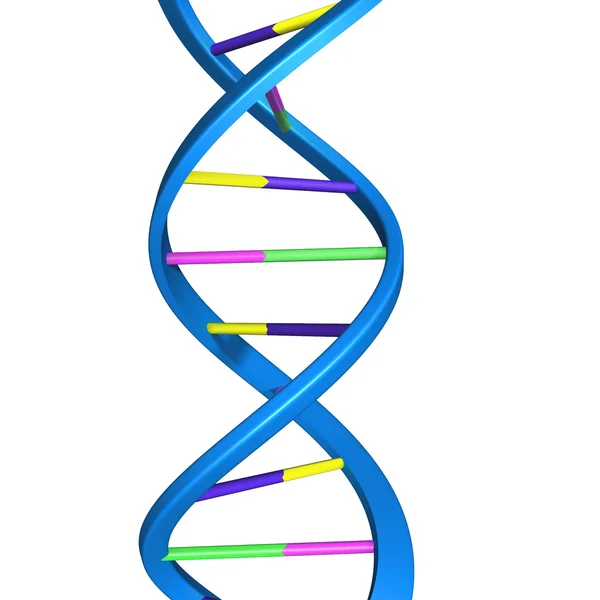 ДНК . — стокове фото