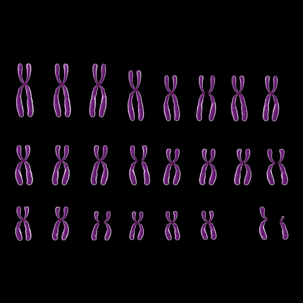 Chromosome humain sur noir — Photo