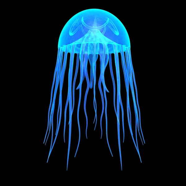 Синяя медуза — стоковое фото