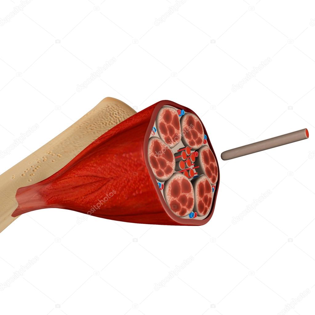 sciencepics