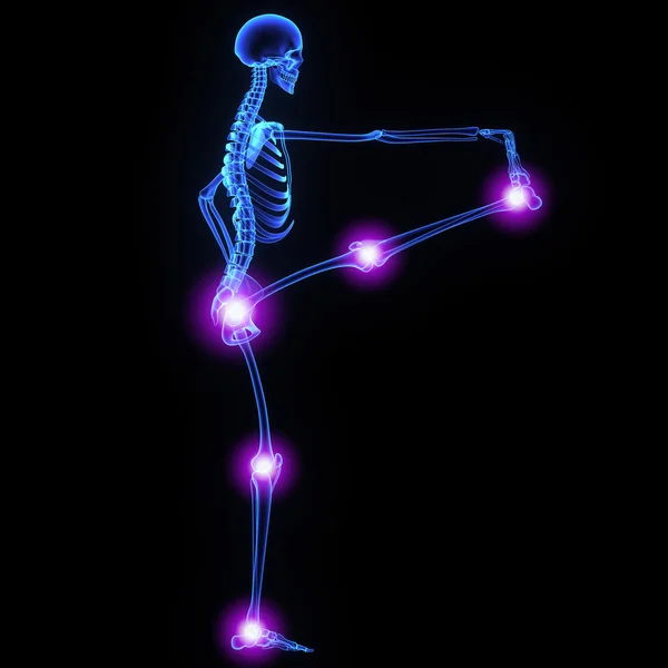 Leg joints — Stock Photo, Image