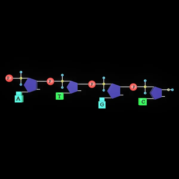 Una catena di polinucleotidi su nero — Foto Stock