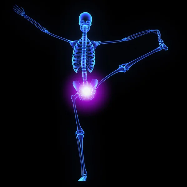 Hip joint — Stock Image Hip joint Stock Photo