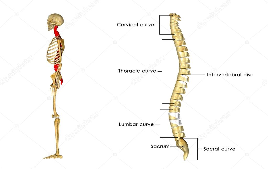 sciencepics