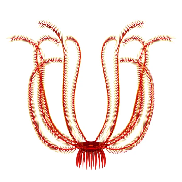 Ocean červené Antedon — Stock fotografie