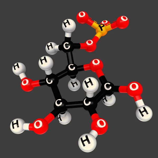 Beta D glucosio 6 fosfato — Foto Stock