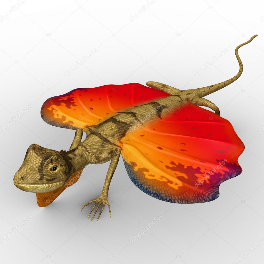 Daintree: River Rainforest Crocodile \u0026 Wildlife Cruise (DV) | GetYourGuide, image size:1024x1024