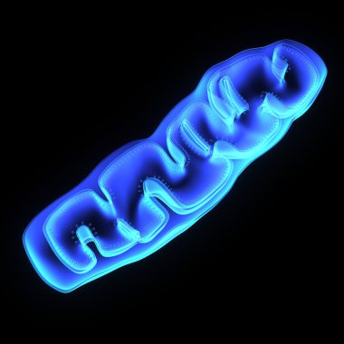 Mitochondria isolated on black clipart