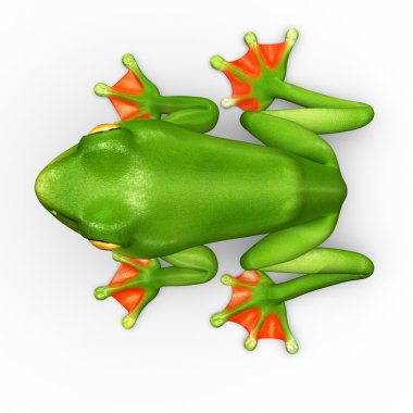 Flyng frog on white clipart