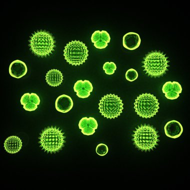 Green phytoplankton clipart