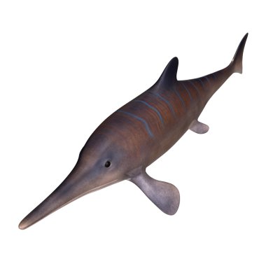 yarı balık yarı kertenkele canlı