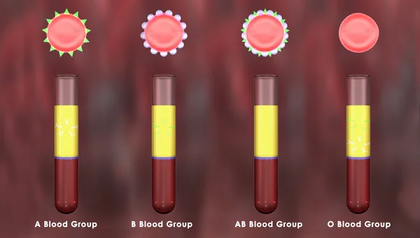 Blood Groups test-tubes — Stock Photo, Image