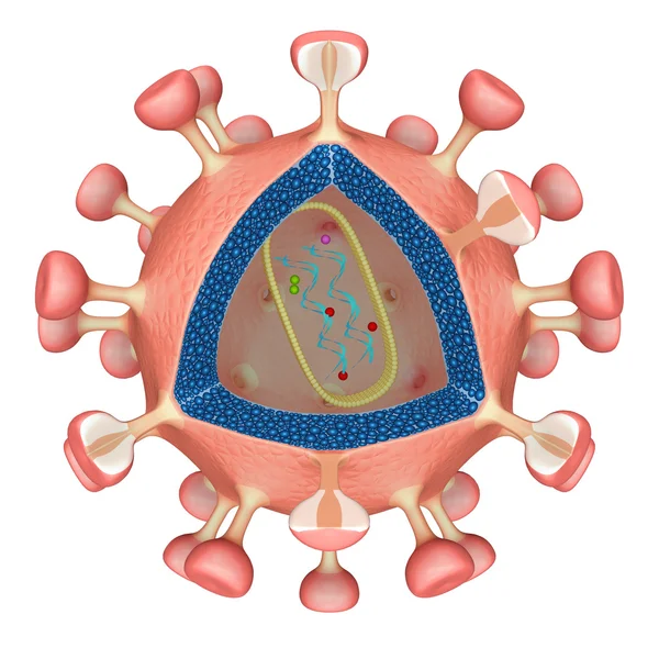 白の Hiv ウイルス — ストック写真