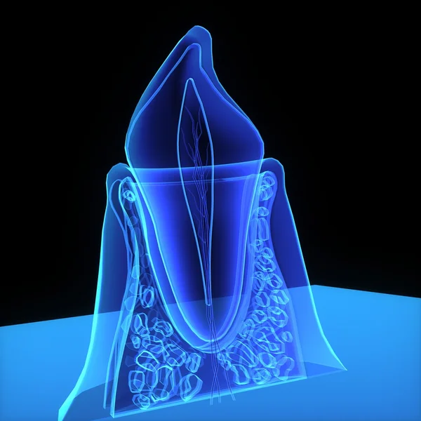 Blue Tooth structure — Stock Photo, Image