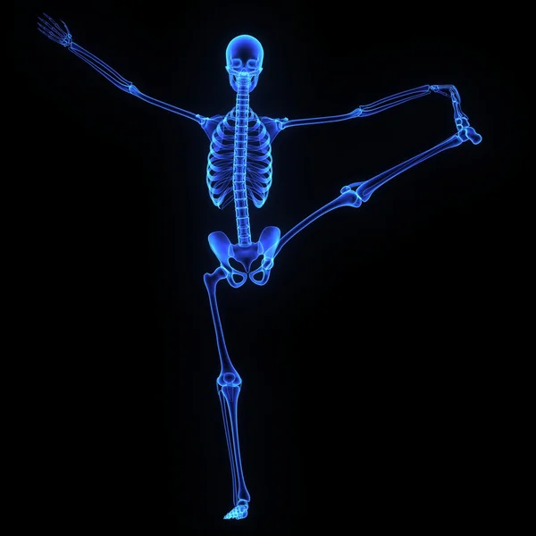 Hip Joint — Stock Photo, Image