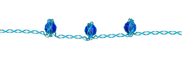 Nucleosoma isolato su bianco — Foto Stock