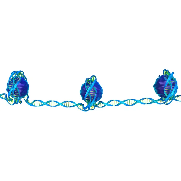 Nucleosome 흰색 절연 — 스톡 사진