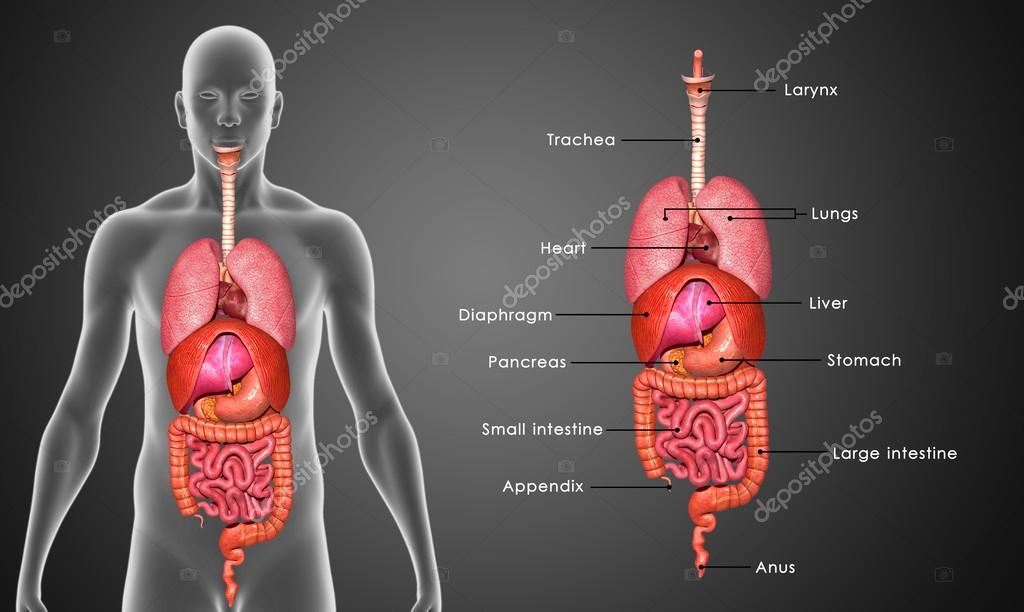 sciencepics