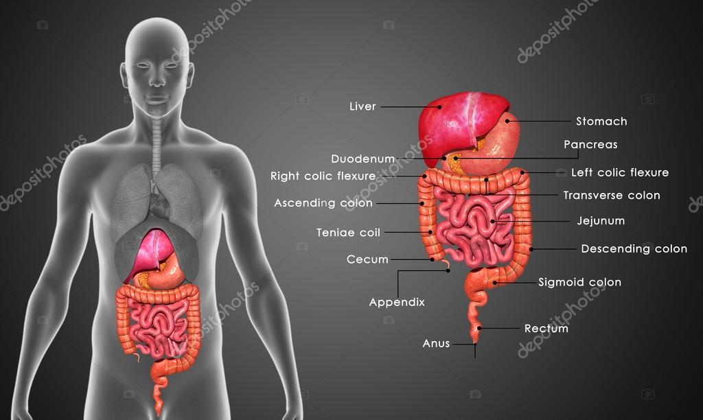 sciencepics