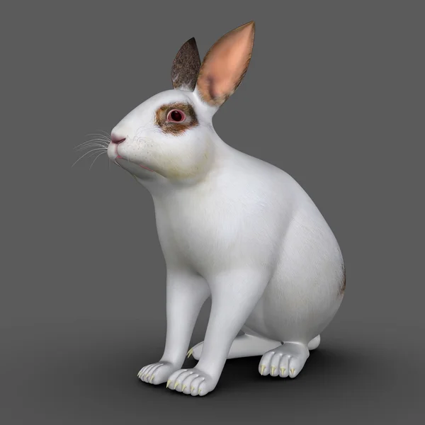 Rabbids realistic drawing Stock Photos, Royalty Free Rabbids realistic ...