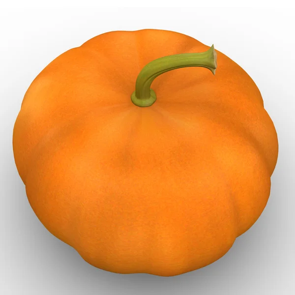 Cucurbita máxima — Foto de Stock