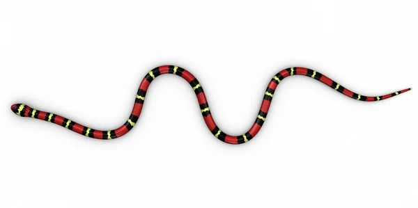 Serpente di corallo colorato — Foto Stock