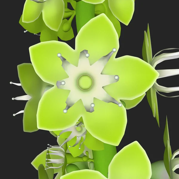 Coccoloba green Flowers — 图库照片