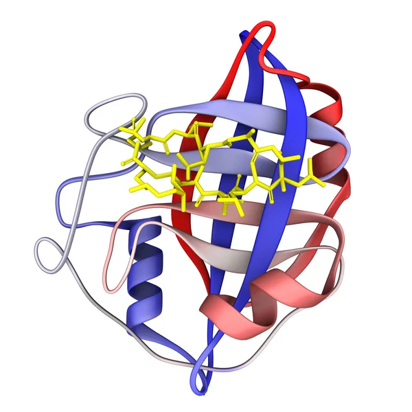 Cellule médicamenteuse à cyclosporine — Photo