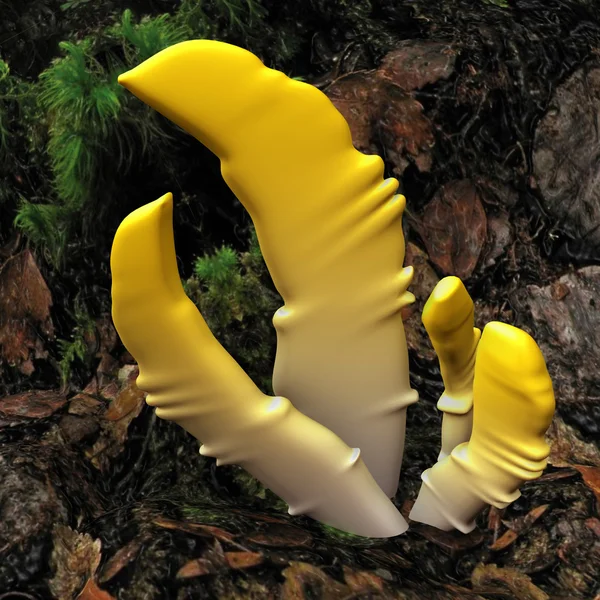 Аскоміцети гриб у лісі — стокове фото